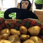 Affe Augustin hinter einem Korb mit goldenen Steinen